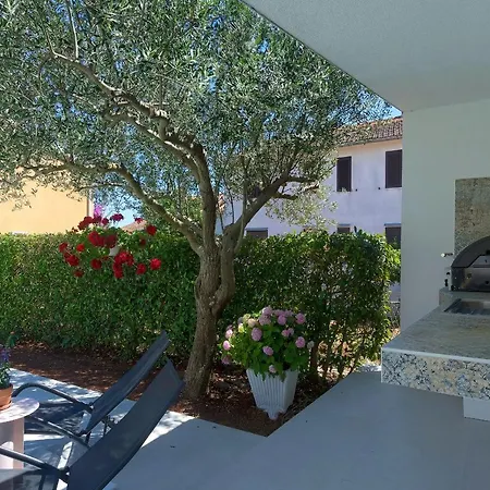 Casa Magna Lejlighed